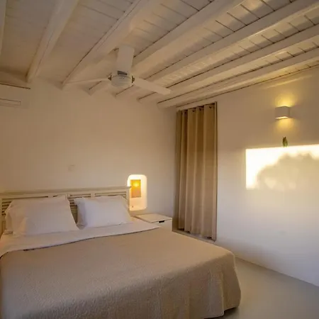 Private Sea View Yard Mykonos Town